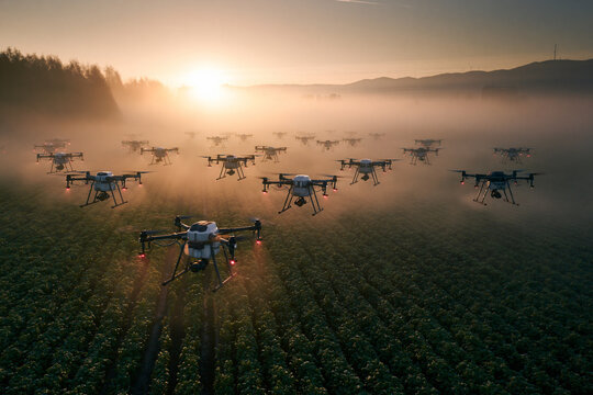 Agricultural Drones Flying Over Crop Field at Sunrise