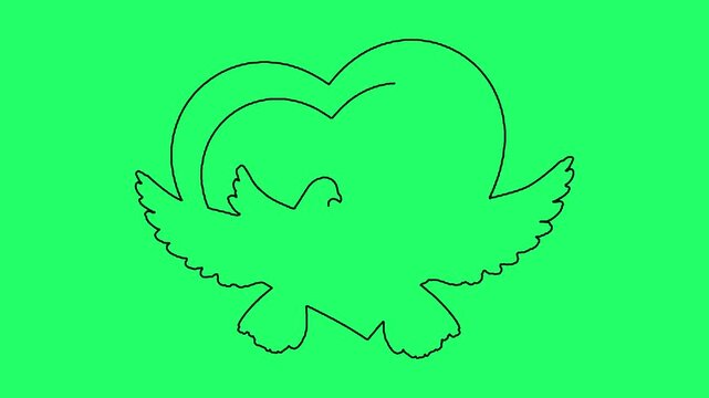 Heart with two flying doves outline drawing on green screen background wedding concept animation.
