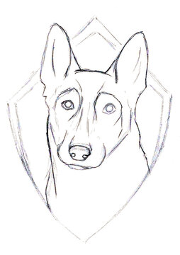 Portrait of a cute service dog in the diamond frame