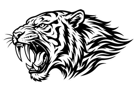 Fierce saber toothed tiger head vector illustration in aggressive roaring pose with sharp fangs and tribal style flowing mane