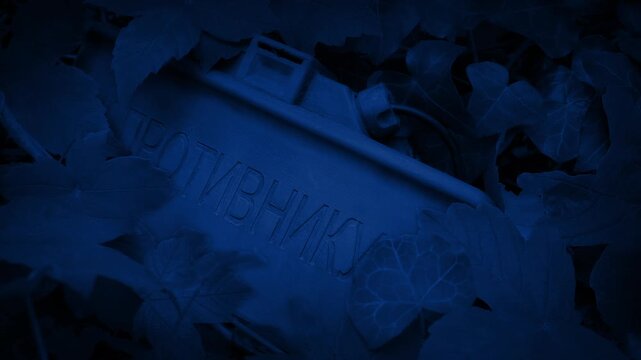 Soviet Claymore Mine Hidden In Plants At Night