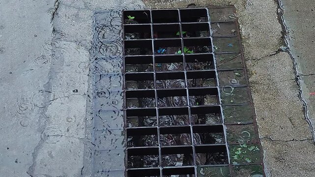 Storm drain grate collecting rainwater during heavy rainfall, with runoff flowing across wet concrete and ripples forming around drainage opening.