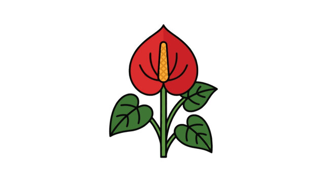 Red anthurium bloom vector illus...