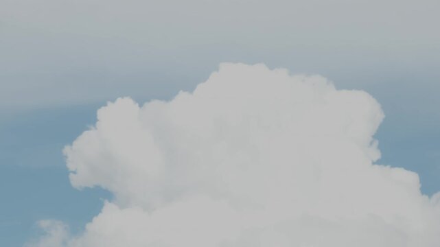 A single large fluffy white cloud against a blue sky.