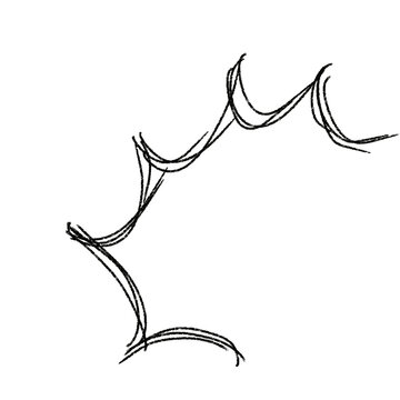 Abstract hand-drawn line sketch with curved, looping black ink strokes. Minimalist photo style on pure white background