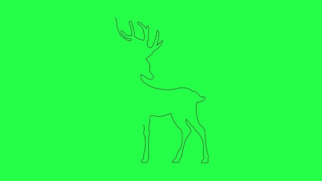 Minimalist continuous line drawing animation of standing deer on bright green screen backdrop.