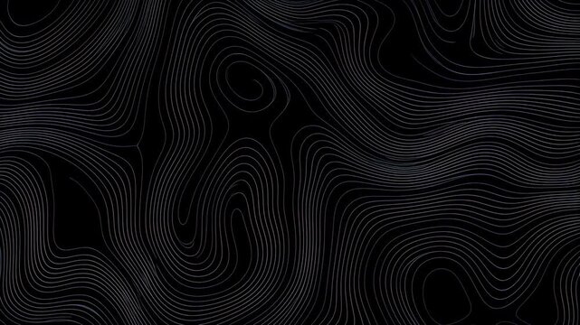 Dark gray curved contour lines flow and shift smoothly across a black digital screen background. Flowing motion creates smooth and visible depth.