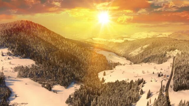 Drone footage of the forest in winter time at sunset, landscape snow covered trees nature - beautiful Europe aerial pine forest mountain, season travel white frozen nature idyllic
