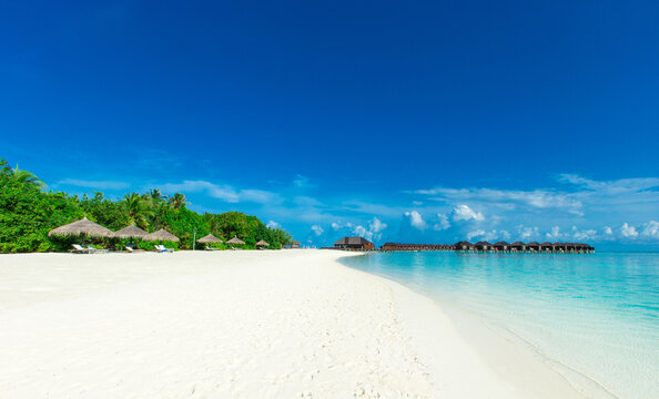 Tropical beach with turquoise ocean, palm leaves and blue sky