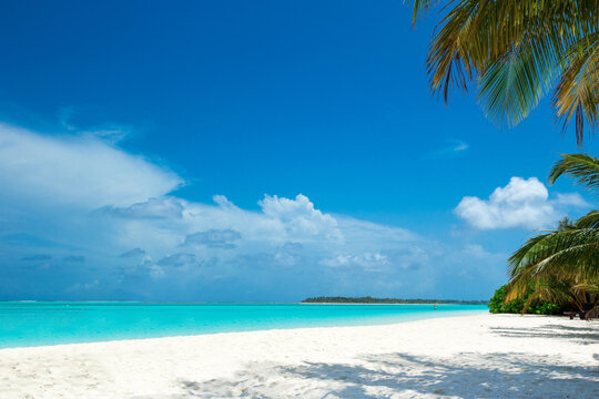 Tropical beach with turquoise ocean, palm leaves and blue sky