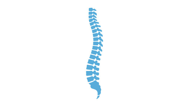 Blue silhouette human spine vector icon showing spinal column anatomy for health and medicine