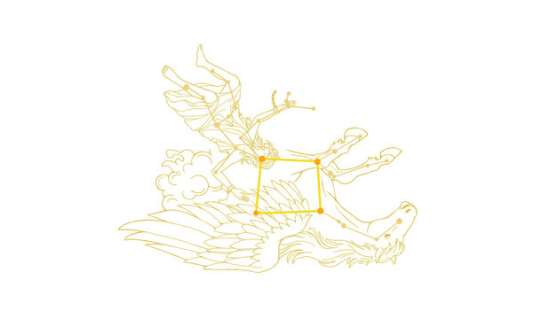 A line drawing of the Great Square of Pegasus in gold constellation lines and artwork