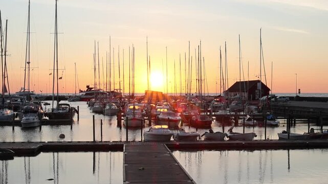 Maritime flair in Ballen Marina with moored yachts and calling seagulls at sunrise.
