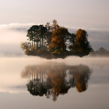 Floating Island With Red And Orange Autumn Trees And Roots
