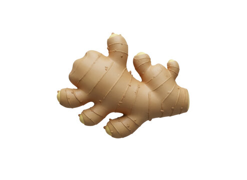 3D render of a stylized fresh ginger root, isolated on a transparent background