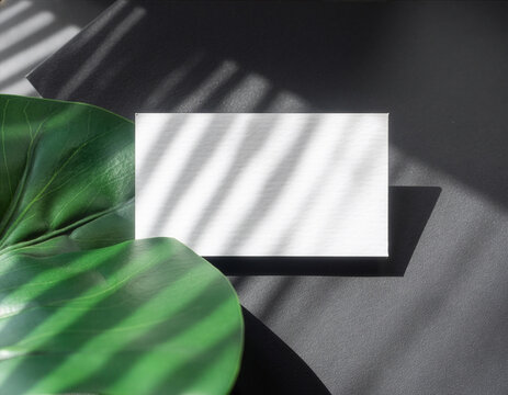 White business card mockup template on green leaves with linear shadows