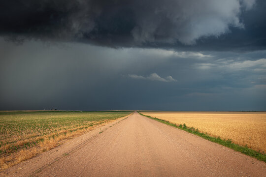 Dirt road deep in the farmland of the Great Plains
