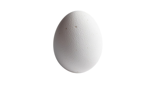 Large textured ostrich egg, isolated on transparent background