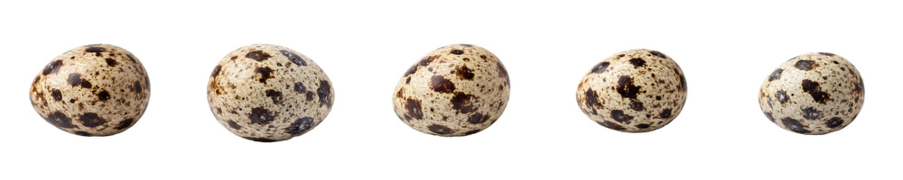 set of the five isolated row of small, speckled quail eggs on withe background PNG photo stock''