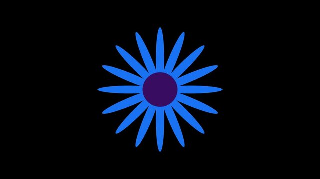 Animated sunflower bloom icons in colorful styles with smooth petal motion, ideal for video editing.