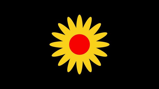 Animated sunflower bloom icons in colorful styles with smooth petal motion, ideal for video editing.