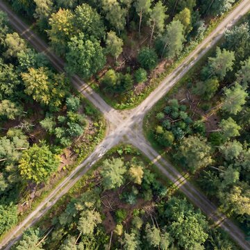 Directly above aerial view of crossroad intersection in green coniferous and deciduous forest with intersection
