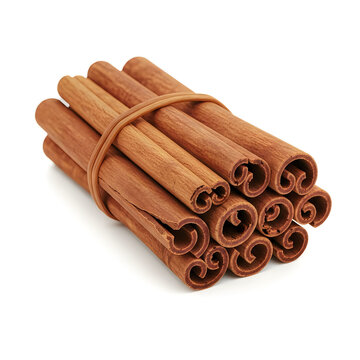 A bundle of fresh brown cinnamon sticks tied together with a simple jute string