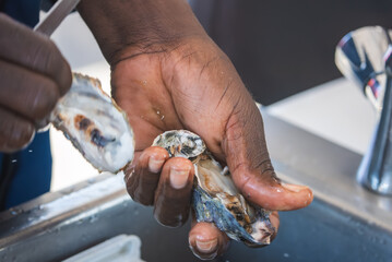 A person uses a metal shucking tool to open a fresh raw oyster shell over a sink during food preparation, displaying wet hands and seafood details. © Aerial Film Studio