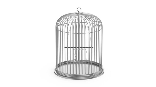 Empty silver bird cage on white background