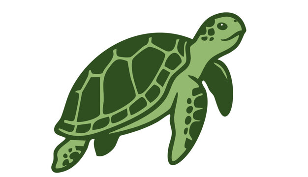 Green Sea Turtle Flat Vector Illustration Isolated on White Background