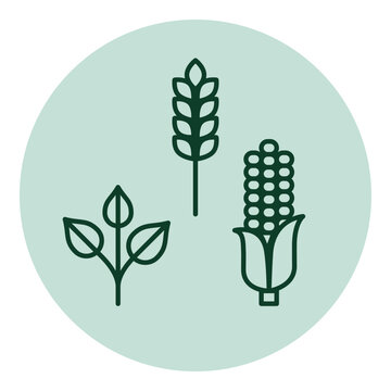 Organic agriculture and sustainability icon: crop diversity