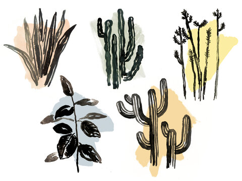 illustration of plants with ink