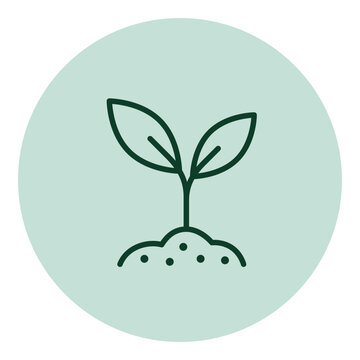 Sprout growing in soil isolated icon