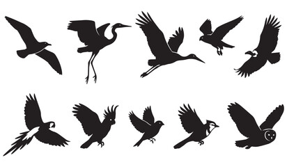Naklejka premium Set of black silhouettes of flying birds featuring seagull, heron, stork, hawk, vulture, macaw, cockatoo, blue jay, and barn owl in flight isolated on a white background. Vector illustration