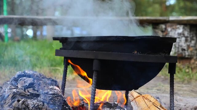 Large cast iron cauldron steaming over a bonfire during a summer picnic in a rustic camping setting, with burning firewood logs creating bright orange flames and heat for outdoor cooking