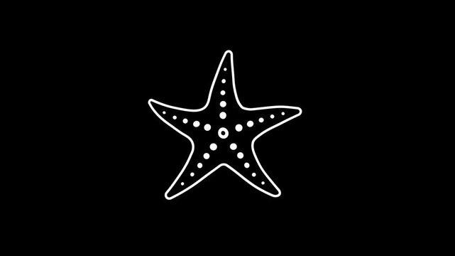 A cartoon-style doodle sketch of a starfish on a black background&mdash;suitable as an additional element for your video project; 4K video.