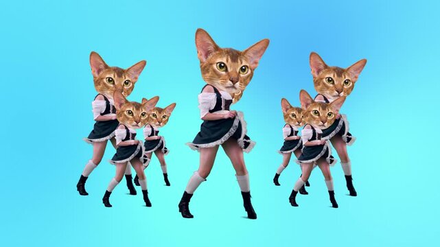 Cat headed dancer march and perform multiplied moves on bright blue background. Concept of funny animals, group dance, festive entertainment and digital content.