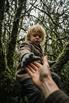Vintage style portrait of young boy reaching for adult hand in mossy forest, child in wool coat exploring woods, connection and help concept