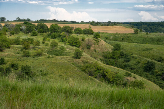 A rural summer landscape of the Krasnodar Territory. The outskirts of Armavir, Russia