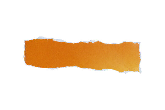 piece of blank gradient yellow to orange paper rectangle texture background torn and ripped on transparent background. document frame design