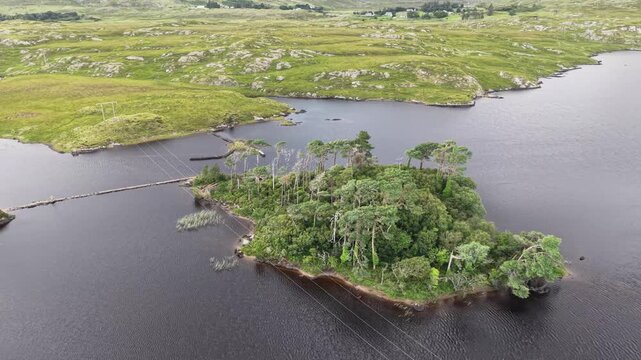 Aerial drone footage flying around Pine Island in Derry Lough, County Galway, Ireland. The footage shows a small wooded island surrounded by dark freshwater, rocky shores and scenic Connemara