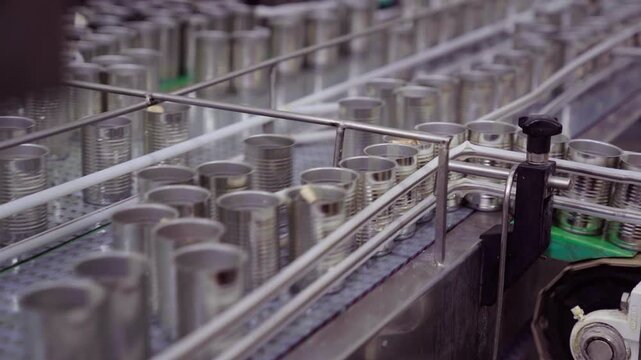 Canned fish in tomato sauce moving on conveyor belt in factory