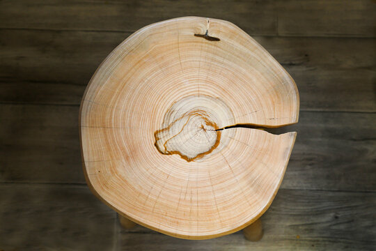 A cut of a spruce tree with beautiful annual rings. Backgrounds, textures, design.
