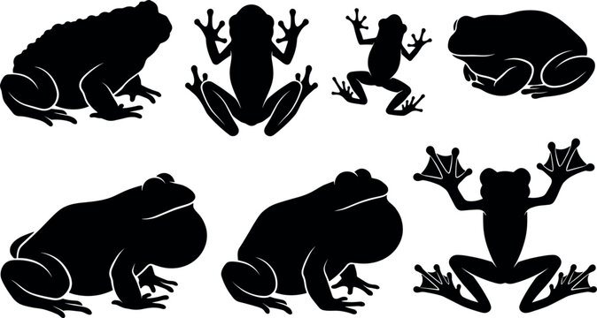 Collection of black frog silhouettes depicts various poses against a white background amphibian