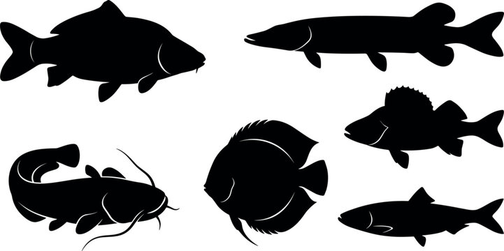 Collection of black fish silhouettes against a white background depicts various aquatic species
