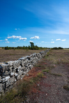 Limeston wall through the area Alvaret on the island of Oland in Sweden