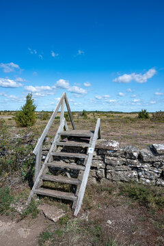 Limeston wall through the area Alvaret on the island of Oland in Sweden
