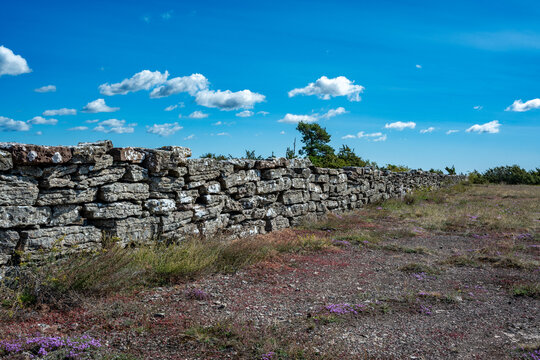 Limeston wall through the area Alvaret on the island of Oland in Sweden