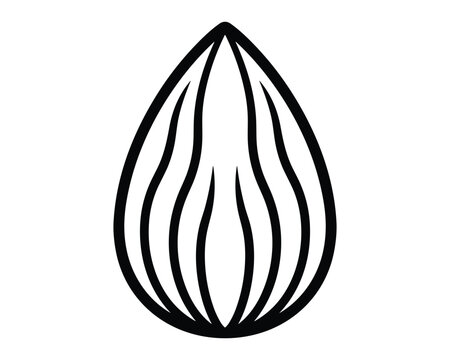 Single almond nut icon line drawing for healthy food