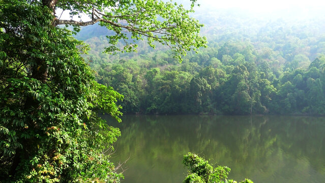 A beautiful scenery in Kerala, India with greenery, trees, and a river
